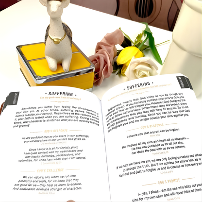 365 Days Devotional Journal